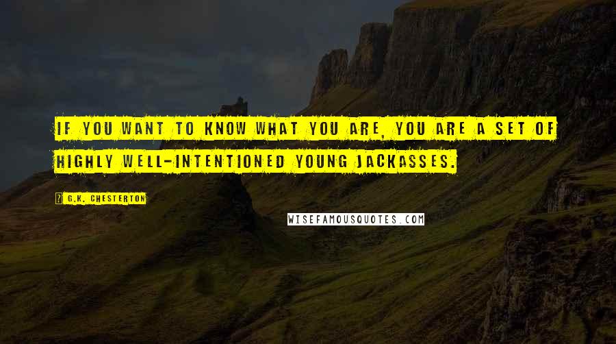G.K. Chesterton Quotes: If you want to know what you are, you are a set of highly well-intentioned young jackasses.