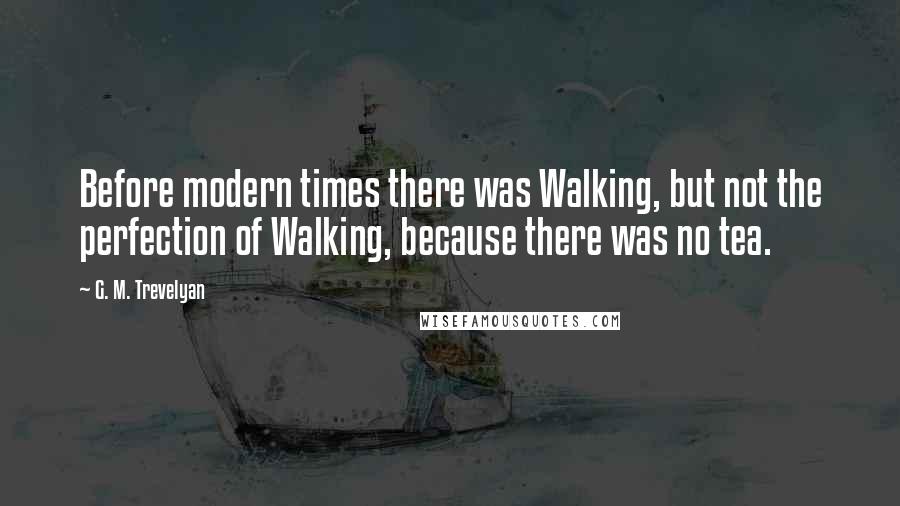 G. M. Trevelyan Quotes: Before modern times there was Walking, but not the perfection of Walking, because there was no tea.