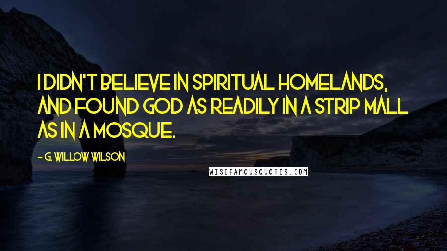 G. Willow Wilson Quotes: I didn't believe in spiritual homelands, and found God as readily in a strip mall as in a mosque.