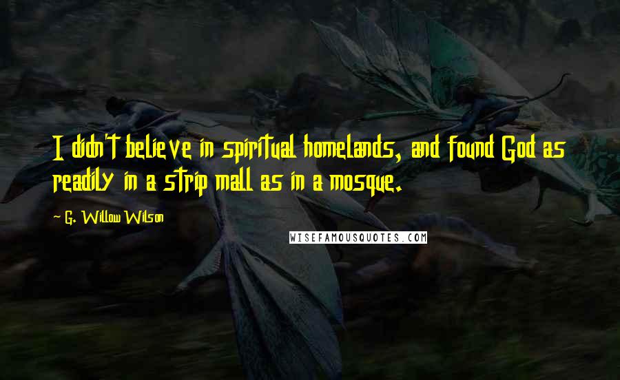 G. Willow Wilson Quotes: I didn't believe in spiritual homelands, and found God as readily in a strip mall as in a mosque.