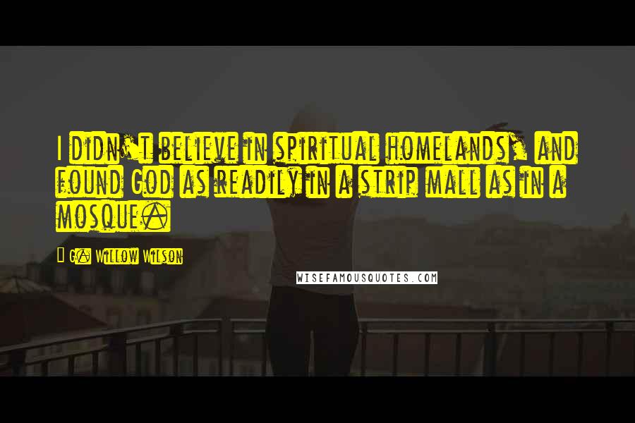 G. Willow Wilson Quotes: I didn't believe in spiritual homelands, and found God as readily in a strip mall as in a mosque.