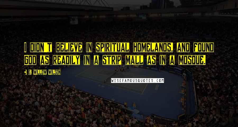 G. Willow Wilson Quotes: I didn't believe in spiritual homelands, and found God as readily in a strip mall as in a mosque.