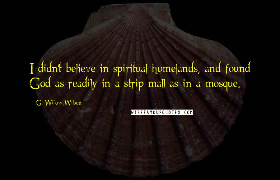 G. Willow Wilson Quotes: I didn't believe in spiritual homelands, and found God as readily in a strip mall as in a mosque.