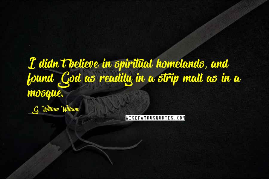 G. Willow Wilson Quotes: I didn't believe in spiritual homelands, and found God as readily in a strip mall as in a mosque.