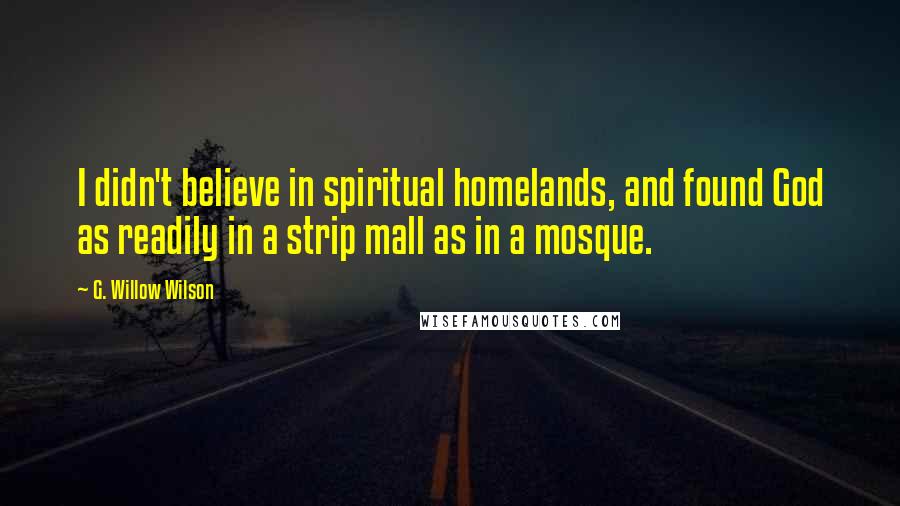 G. Willow Wilson Quotes: I didn't believe in spiritual homelands, and found God as readily in a strip mall as in a mosque.