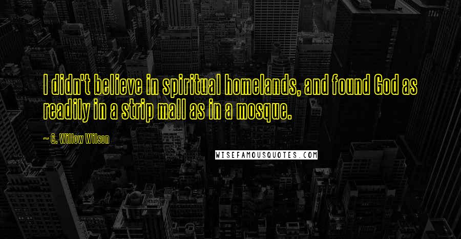 G. Willow Wilson Quotes: I didn't believe in spiritual homelands, and found God as readily in a strip mall as in a mosque.