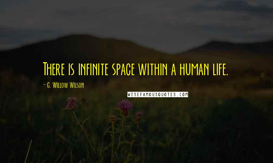 G. Willow Wilson Quotes: There is infinite space within a human life.
