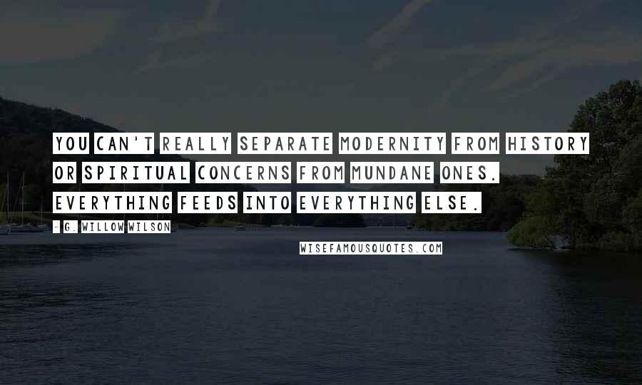 G. Willow Wilson Quotes: You can't really separate modernity from history or spiritual concerns from mundane ones. Everything feeds into everything else.