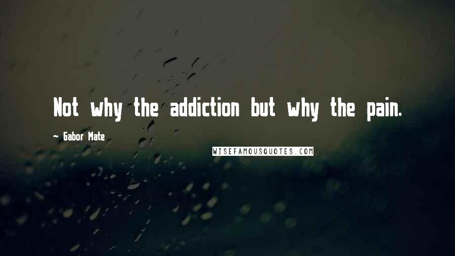 Gabor Mate Quotes: Not why the addiction but why the pain.