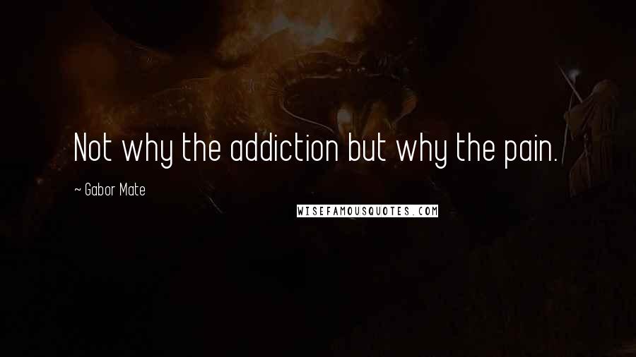 Gabor Mate Quotes: Not why the addiction but why the pain.