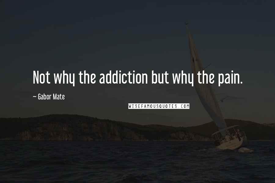 Gabor Mate Quotes: Not why the addiction but why the pain.