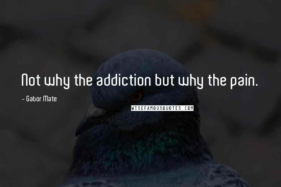 Gabor Mate Quotes: Not why the addiction but why the pain.