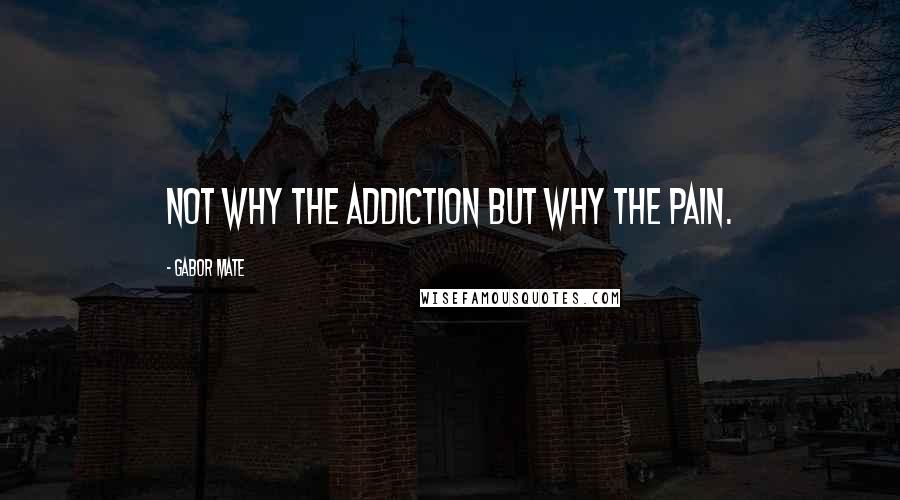 Gabor Mate Quotes: Not why the addiction but why the pain.