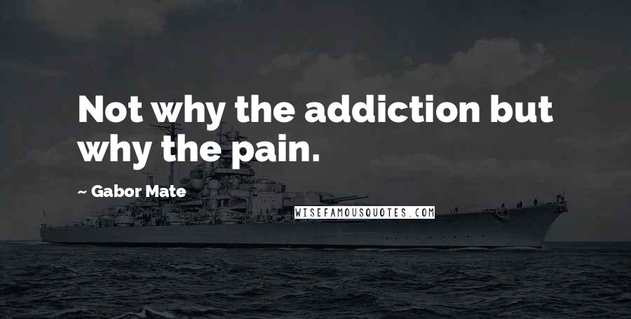 Gabor Mate Quotes: Not why the addiction but why the pain.