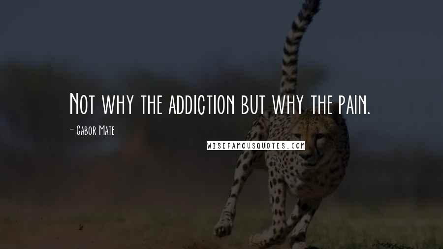 Gabor Mate Quotes: Not why the addiction but why the pain.