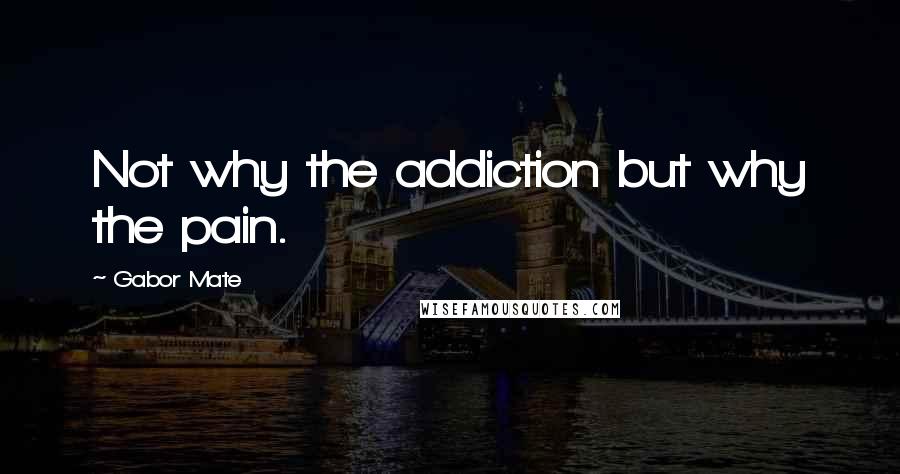 Gabor Mate Quotes: Not why the addiction but why the pain.