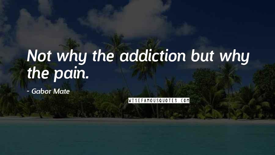 Gabor Mate Quotes: Not why the addiction but why the pain.