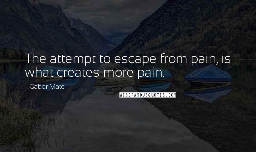 Gabor Mate Quotes: The attempt to escape from pain, is what creates more pain.