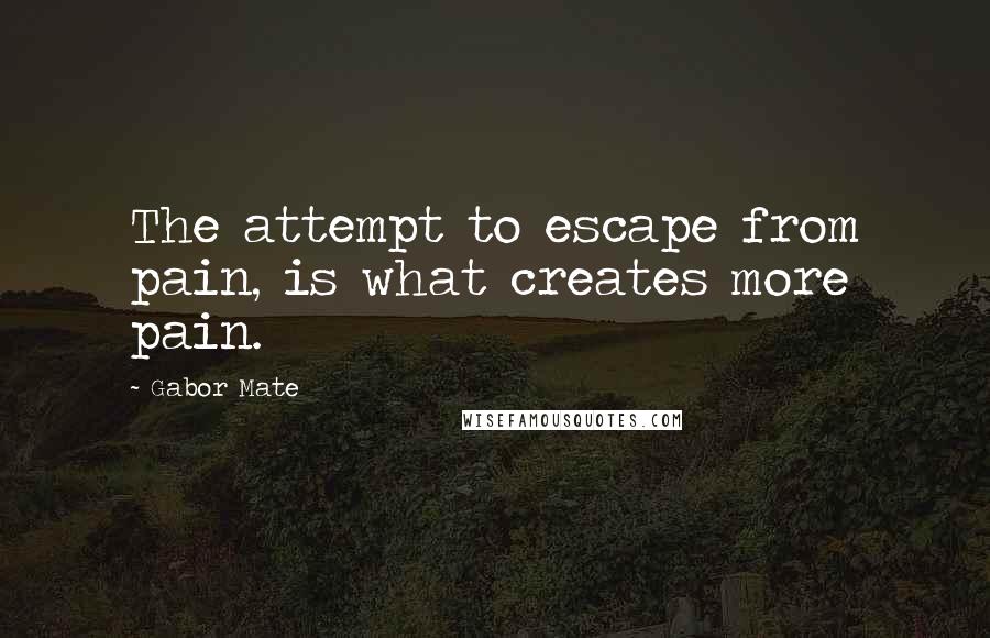 Gabor Mate Quotes: The attempt to escape from pain, is what creates more pain.