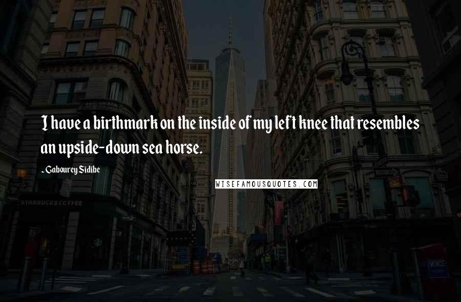 Gabourey Sidibe Quotes: I have a birthmark on the inside of my left knee that resembles an upside-down sea horse.