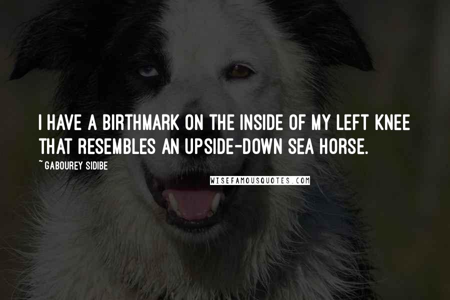 Gabourey Sidibe Quotes: I have a birthmark on the inside of my left knee that resembles an upside-down sea horse.