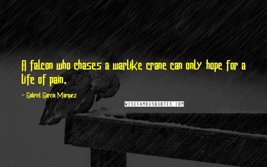 Gabriel Garcia Marquez Quotes: A falcon who chases a warlike crane can only hope for a life of pain.