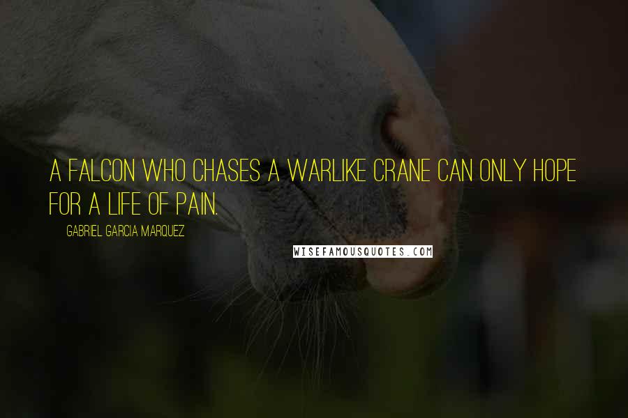 Gabriel Garcia Marquez Quotes: A falcon who chases a warlike crane can only hope for a life of pain.