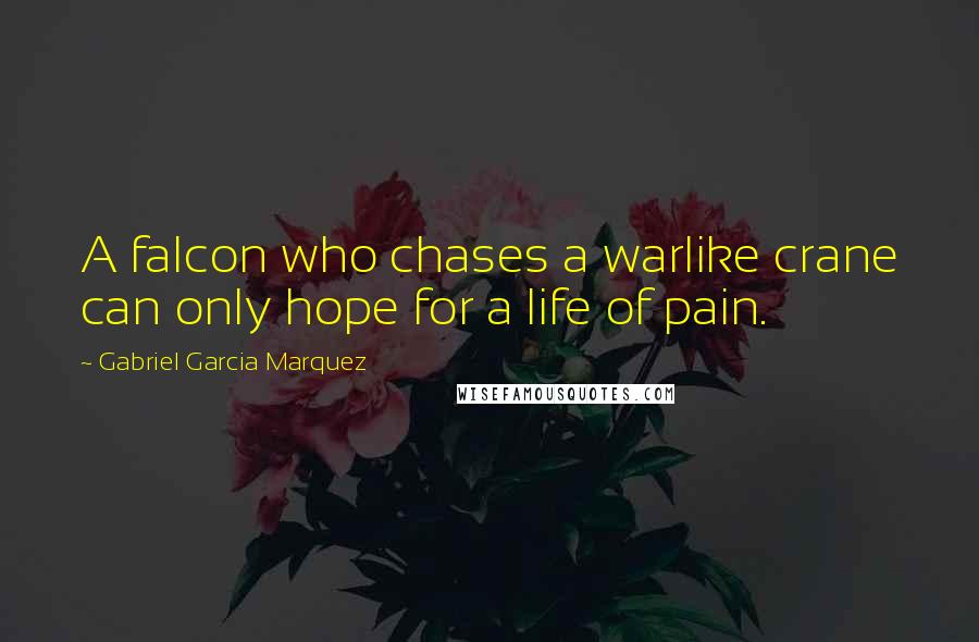 Gabriel Garcia Marquez Quotes: A falcon who chases a warlike crane can only hope for a life of pain.