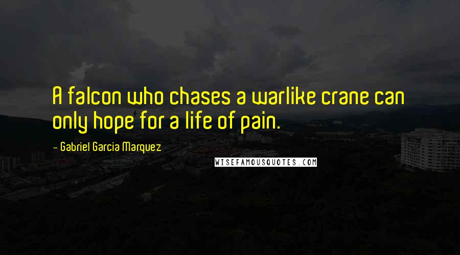 Gabriel Garcia Marquez Quotes: A falcon who chases a warlike crane can only hope for a life of pain.