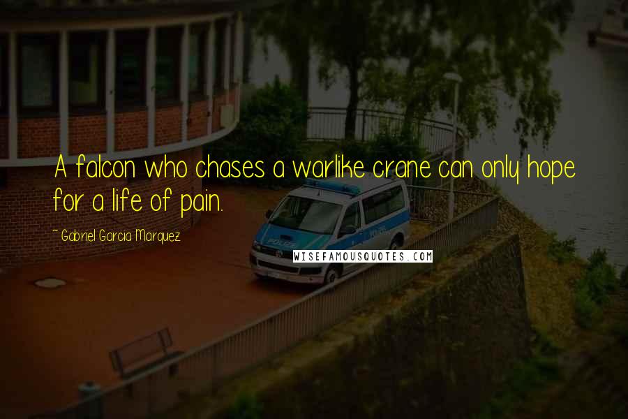 Gabriel Garcia Marquez Quotes: A falcon who chases a warlike crane can only hope for a life of pain.