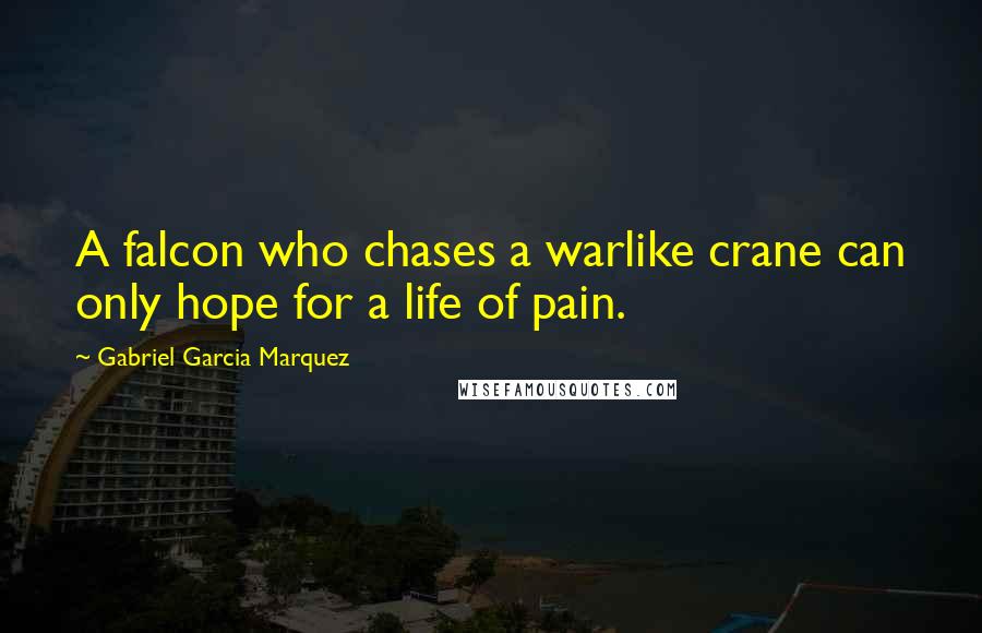 Gabriel Garcia Marquez Quotes: A falcon who chases a warlike crane can only hope for a life of pain.