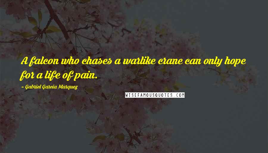 Gabriel Garcia Marquez Quotes: A falcon who chases a warlike crane can only hope for a life of pain.