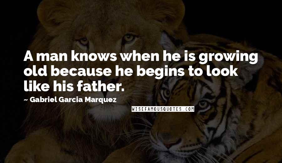 Gabriel Garcia Marquez Quotes: A man knows when he is growing old because he begins to look like his father.