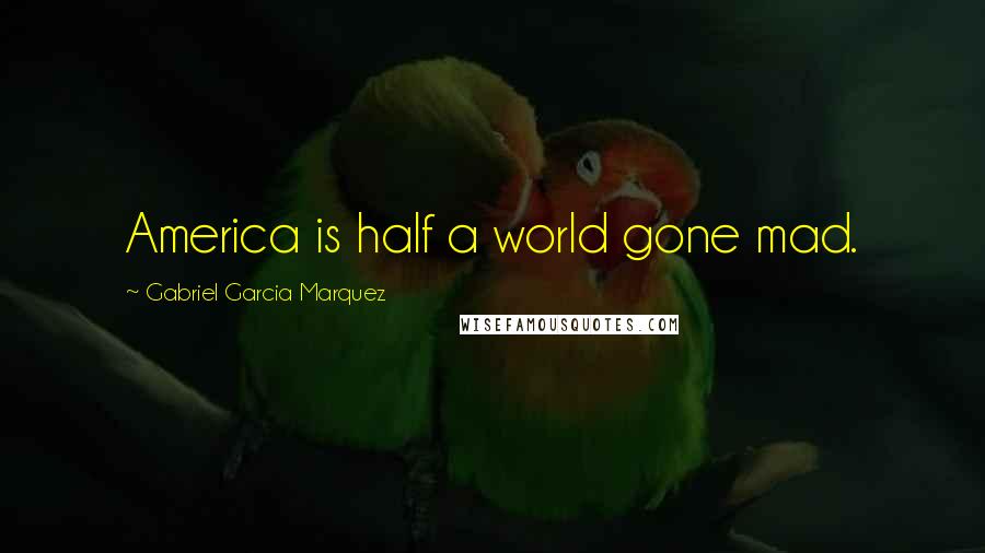 Gabriel Garcia Marquez Quotes: America is half a world gone mad.