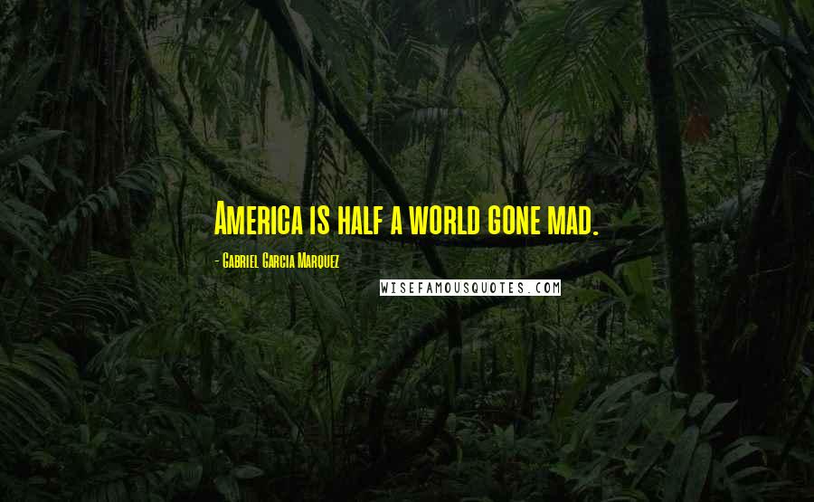 Gabriel Garcia Marquez Quotes: America is half a world gone mad.