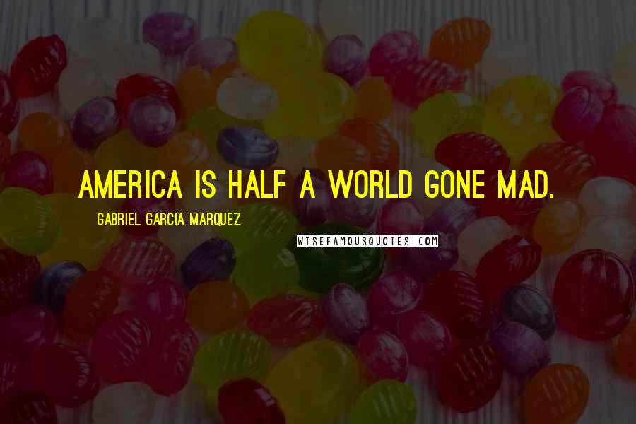 Gabriel Garcia Marquez Quotes: America is half a world gone mad.