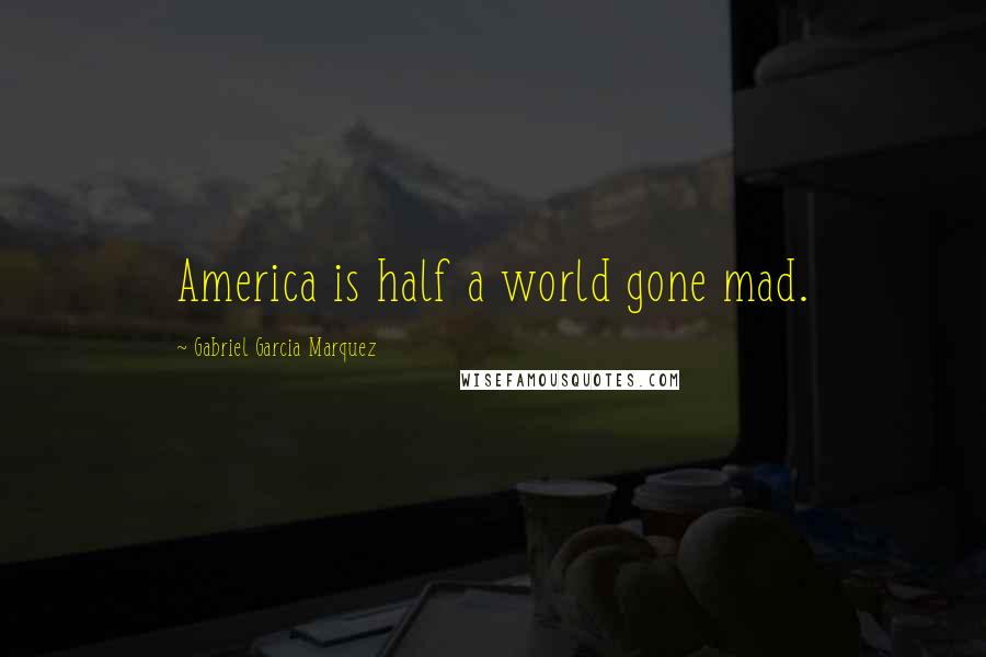 Gabriel Garcia Marquez Quotes: America is half a world gone mad.