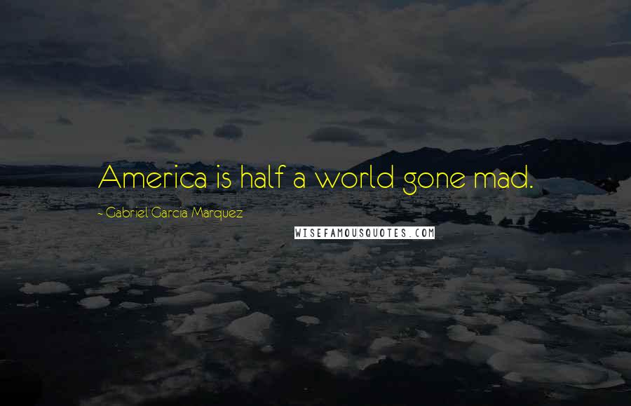 Gabriel Garcia Marquez Quotes: America is half a world gone mad.