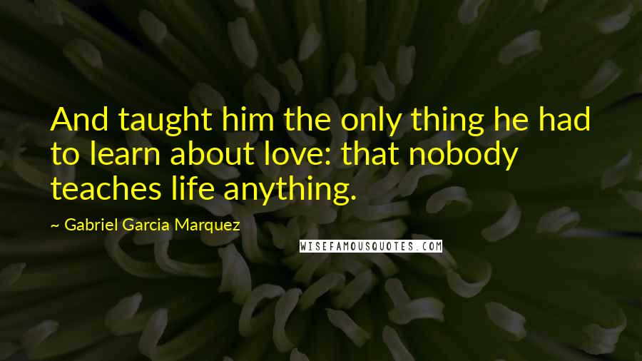 Gabriel Garcia Marquez Quotes: And taught him the only thing he had to learn about love: that nobody teaches life anything.