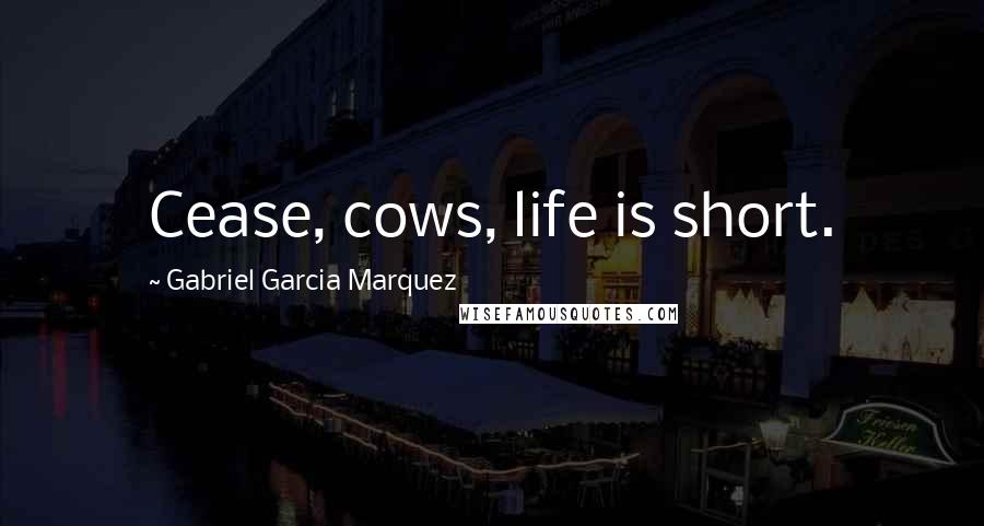 Gabriel Garcia Marquez Quotes: Cease, cows, life is short.
