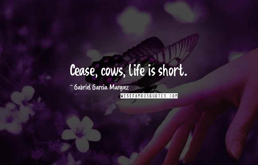 Gabriel Garcia Marquez Quotes: Cease, cows, life is short.