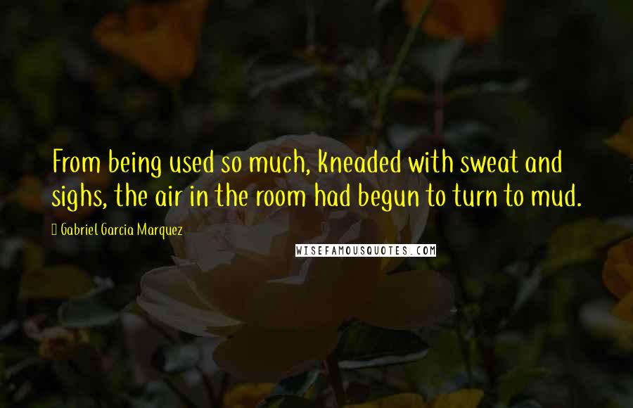 Gabriel Garcia Marquez Quotes: From being used so much, kneaded with sweat and sighs, the air in the room had begun to turn to mud.