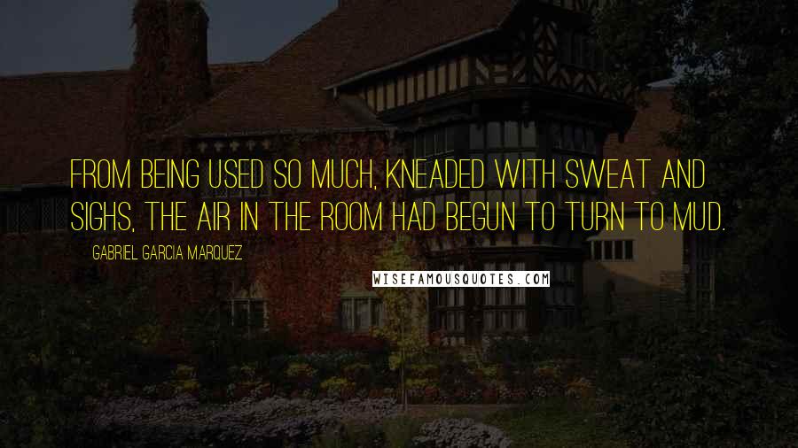 Gabriel Garcia Marquez Quotes: From being used so much, kneaded with sweat and sighs, the air in the room had begun to turn to mud.