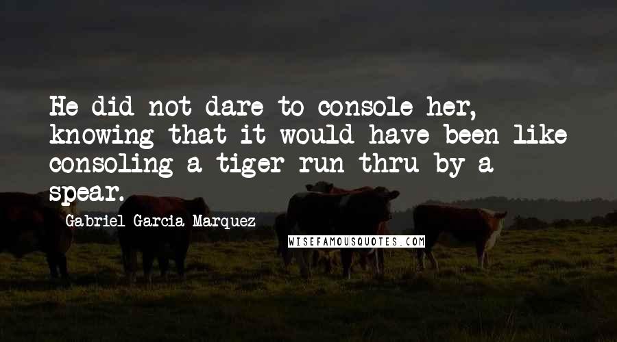 Gabriel Garcia Marquez Quotes: He did not dare to console her, knowing that it would have been like consoling a tiger run thru by a spear.