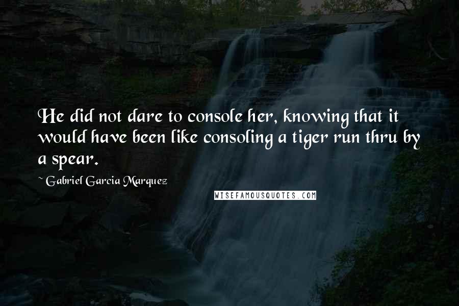 Gabriel Garcia Marquez Quotes: He did not dare to console her, knowing that it would have been like consoling a tiger run thru by a spear.