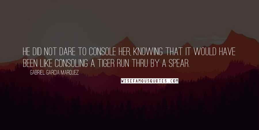 Gabriel Garcia Marquez Quotes: He did not dare to console her, knowing that it would have been like consoling a tiger run thru by a spear.