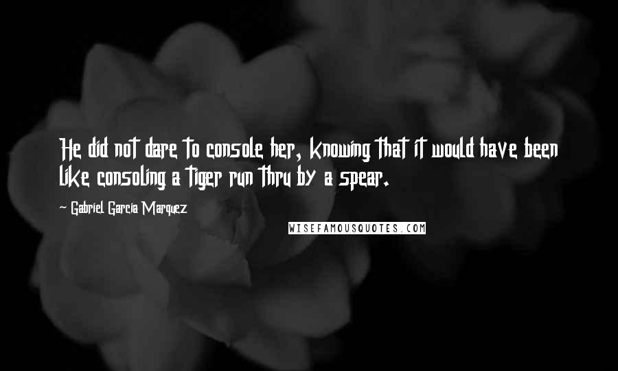 Gabriel Garcia Marquez Quotes: He did not dare to console her, knowing that it would have been like consoling a tiger run thru by a spear.