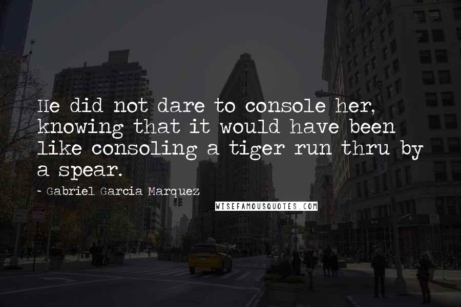 Gabriel Garcia Marquez Quotes: He did not dare to console her, knowing that it would have been like consoling a tiger run thru by a spear.