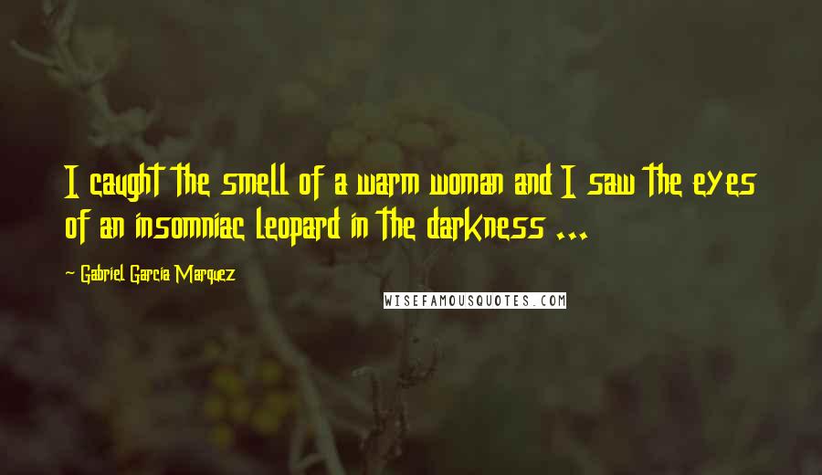 Gabriel Garcia Marquez Quotes: I caught the smell of a warm woman and I saw the eyes of an insomniac leopard in the darkness ...