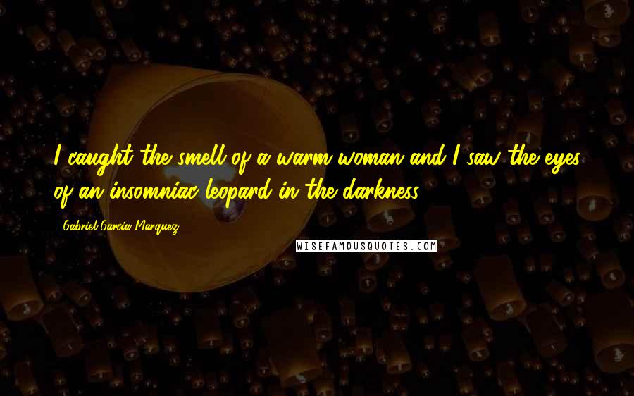 Gabriel Garcia Marquez Quotes: I caught the smell of a warm woman and I saw the eyes of an insomniac leopard in the darkness ...